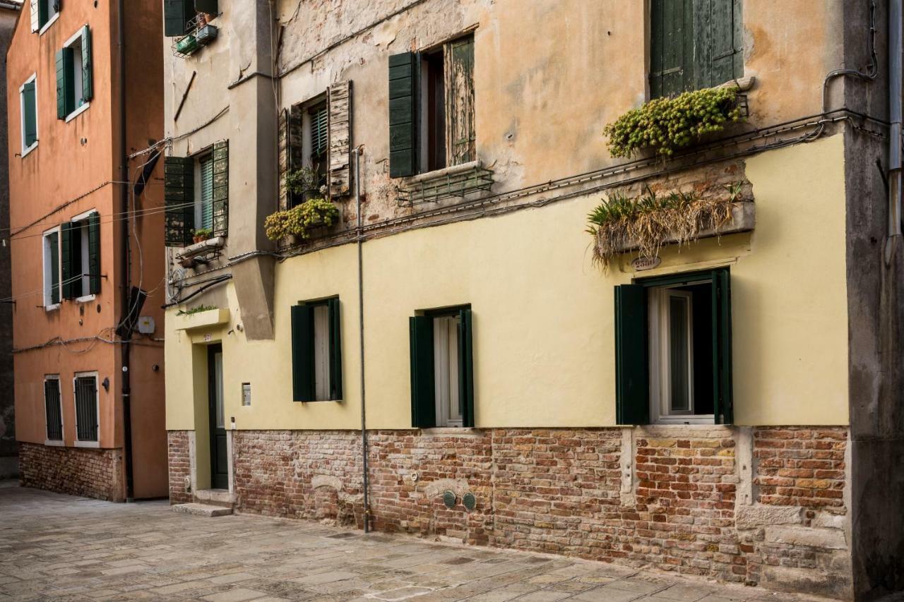 Cà Biennale: scoprire gli angoli nascosti! Venezia Esterno foto